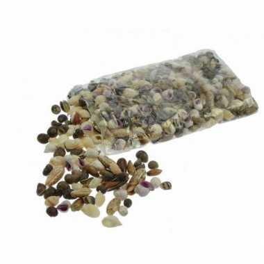 Kleine opvul schelpjes 1x kilo